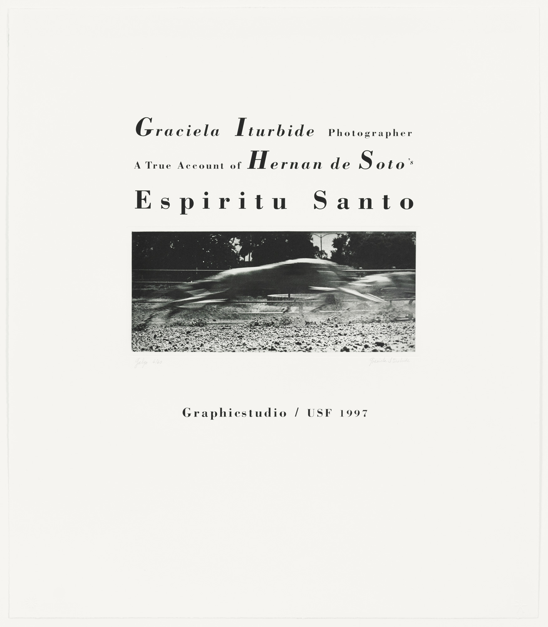 Espiritu Santo: Galgo by Graciela Iturbide