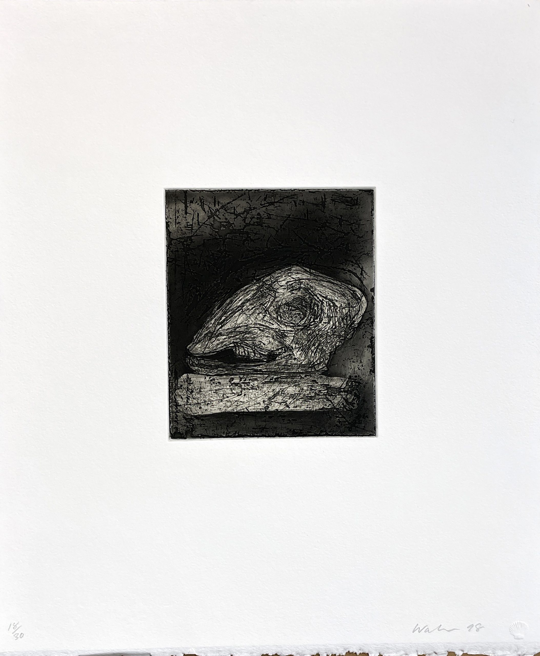 Untitled (Sheep Skull) by John Walker