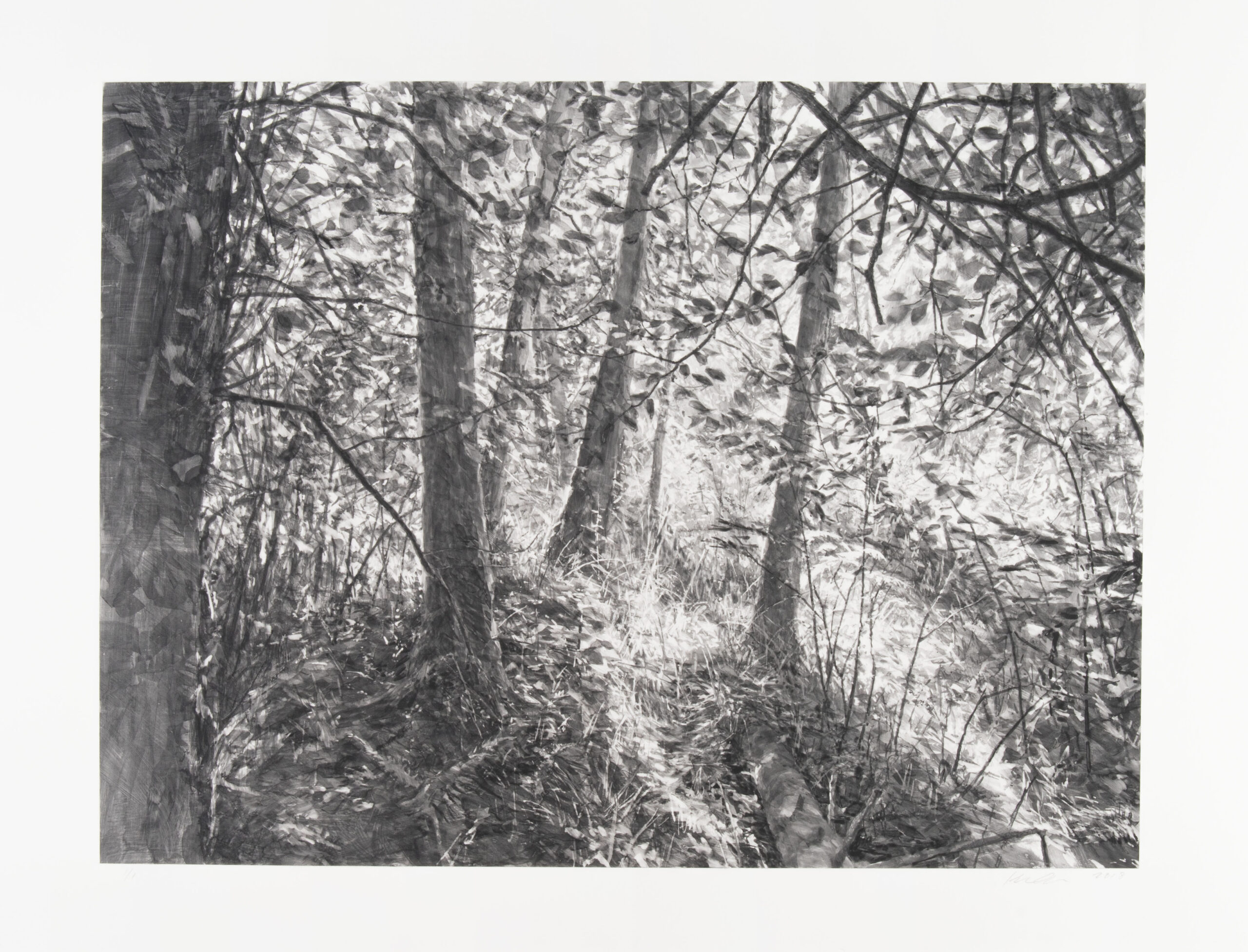 Lopez Island Trees II by Michael Kareken