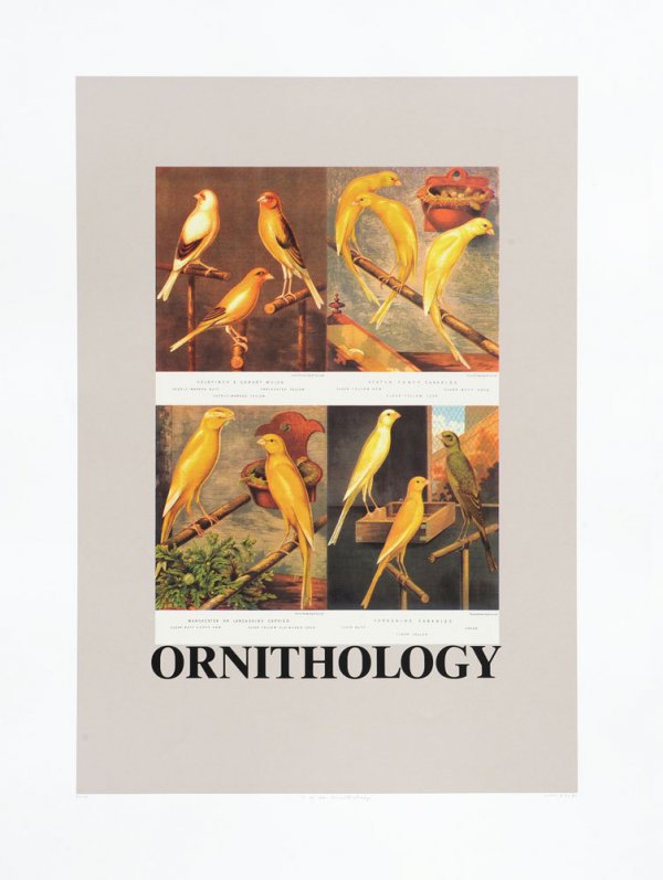 O Is For Ornithology by Peter Blake