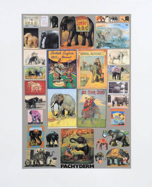 P Is For Pachyderm ( Elephant ) by Peter Blake