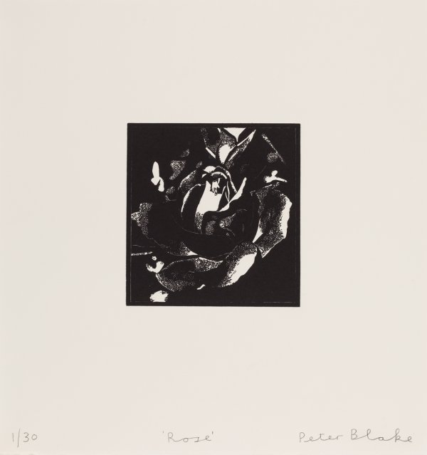 Rose by Peter Blake