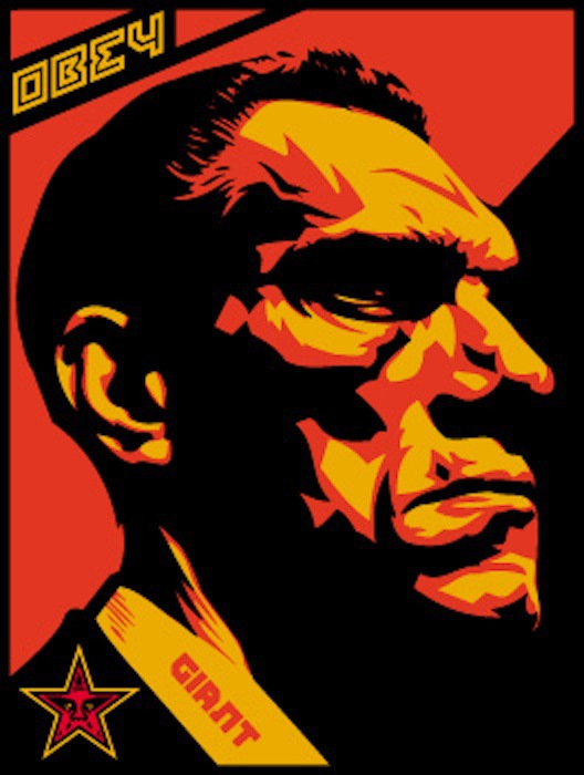 Big Brother Profile by Shepard Fairey