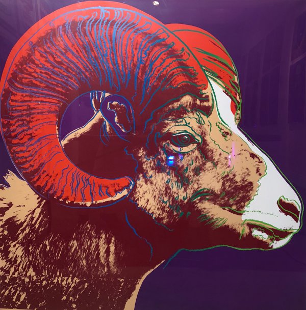 Bighorn Ram Tp (fs Ii.302) by Andy Warhol