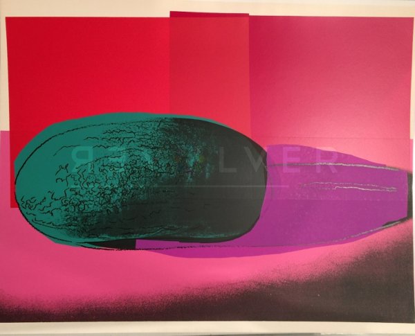 Space Fruit: Watermelon Fs Ii.199 by Andy Warhol