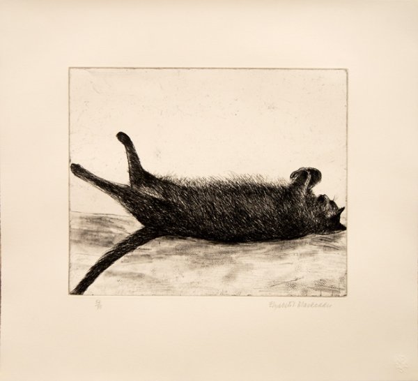 Buy Elizabeth Blackadder Prints & Artworks | Printed Editions