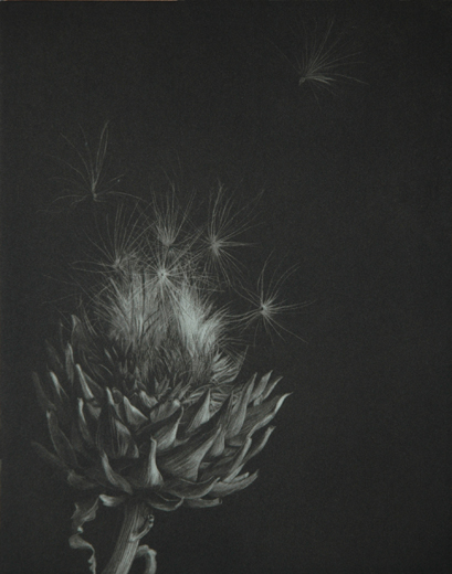 Artichoke by Judith Rothchild