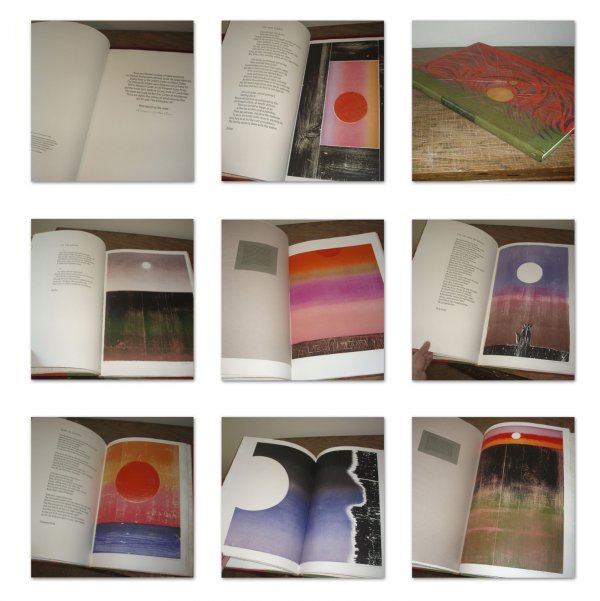 Suns And Moons Portfolio/book by Michael Rothenstein