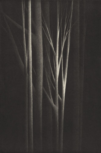 Forest Nocturne Iv by Robert Kipniss