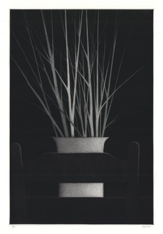 Vase w/branches & Chair by Robert Kipniss