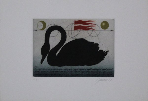 Schwarzer Schwan / Black Swan by Alois Janak