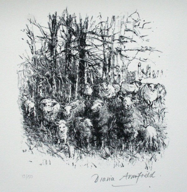 Sheep Sheltering: Winter At Llwynhir by Diana Armfield