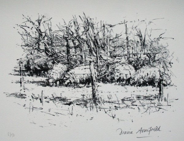 Welsh Sheep Seen From The Window by Diana Armfield