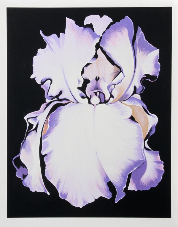 White Iris On Black by Lowell Nesbitt