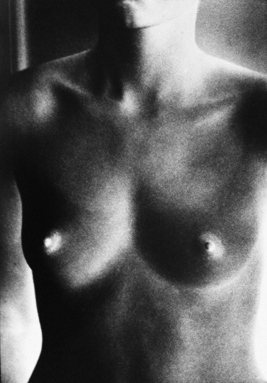 Nude / Negative (from In Situ) by Ralph Gibson