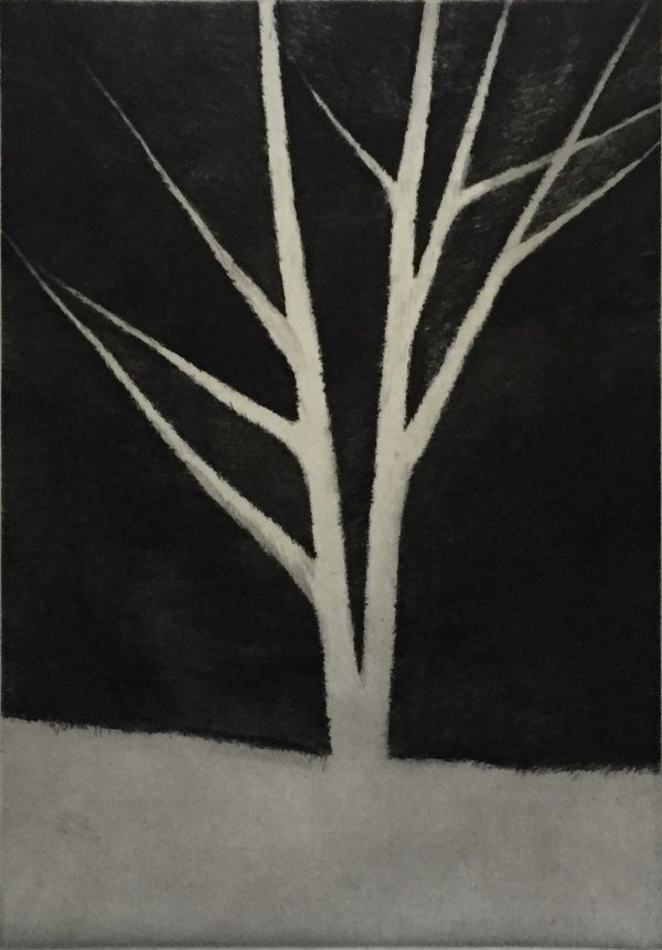 A Dark Space Defining A Tree by Robert Kipniss