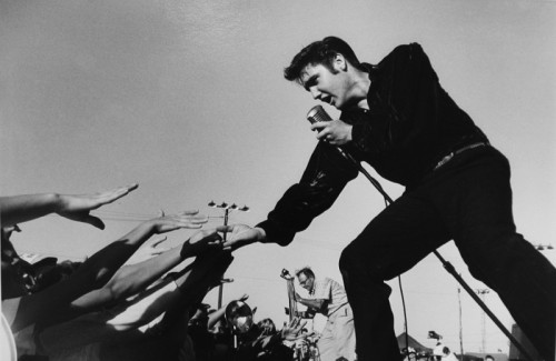 Elvis Presley, Mississippi-alabama Fair by Roger Marshutz