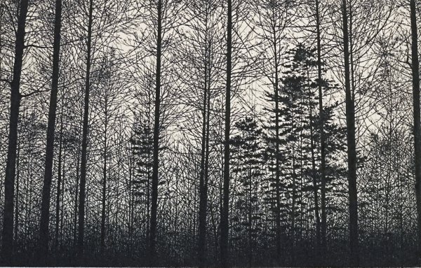 Forest (gray) by Tokuro Sakamoto