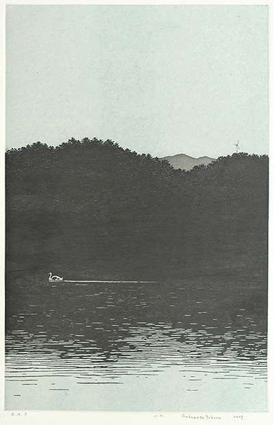 Mountain And Water by Tokuro Sakamoto