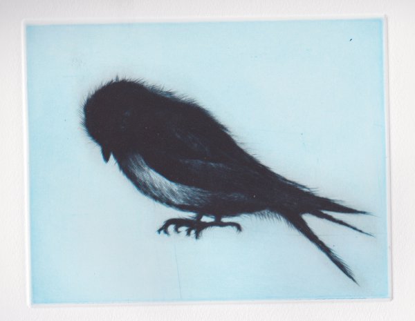 Swallow by Tomoko Konoike