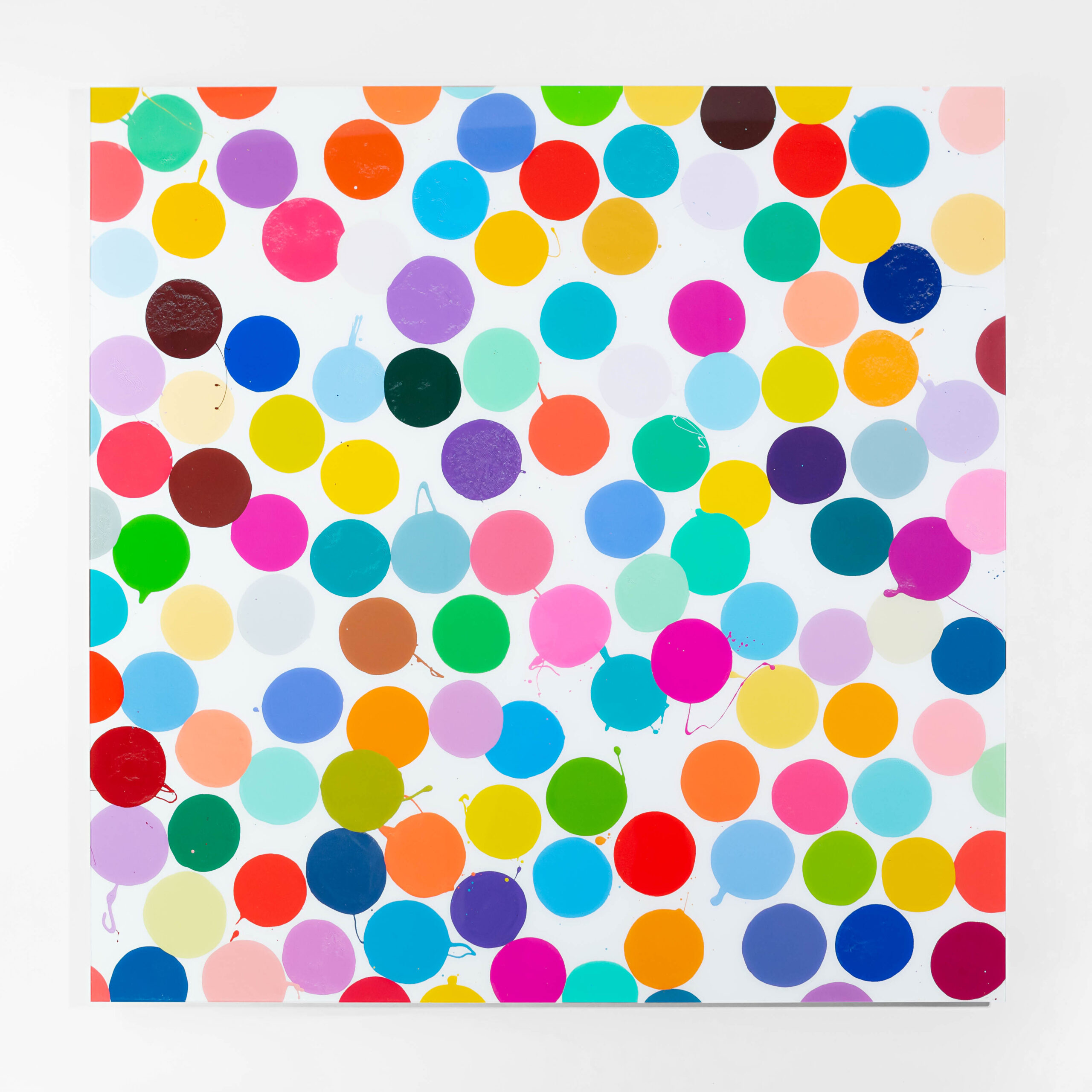 H5-5 Raffles by Damien Hirst