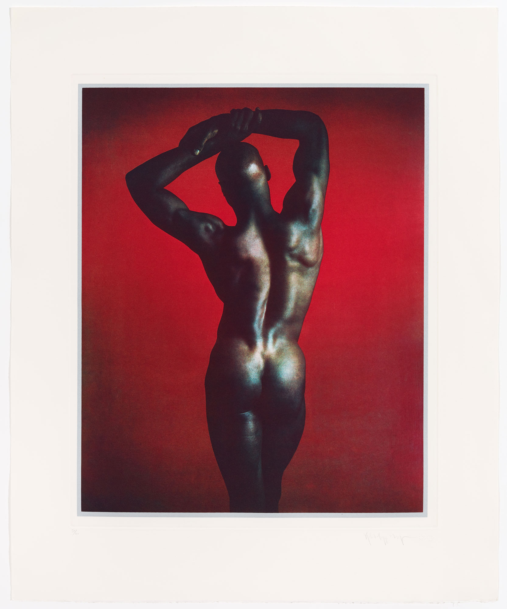 Untitled #1 From The Ken Moody Portfolio by Robert Mapplethorpe