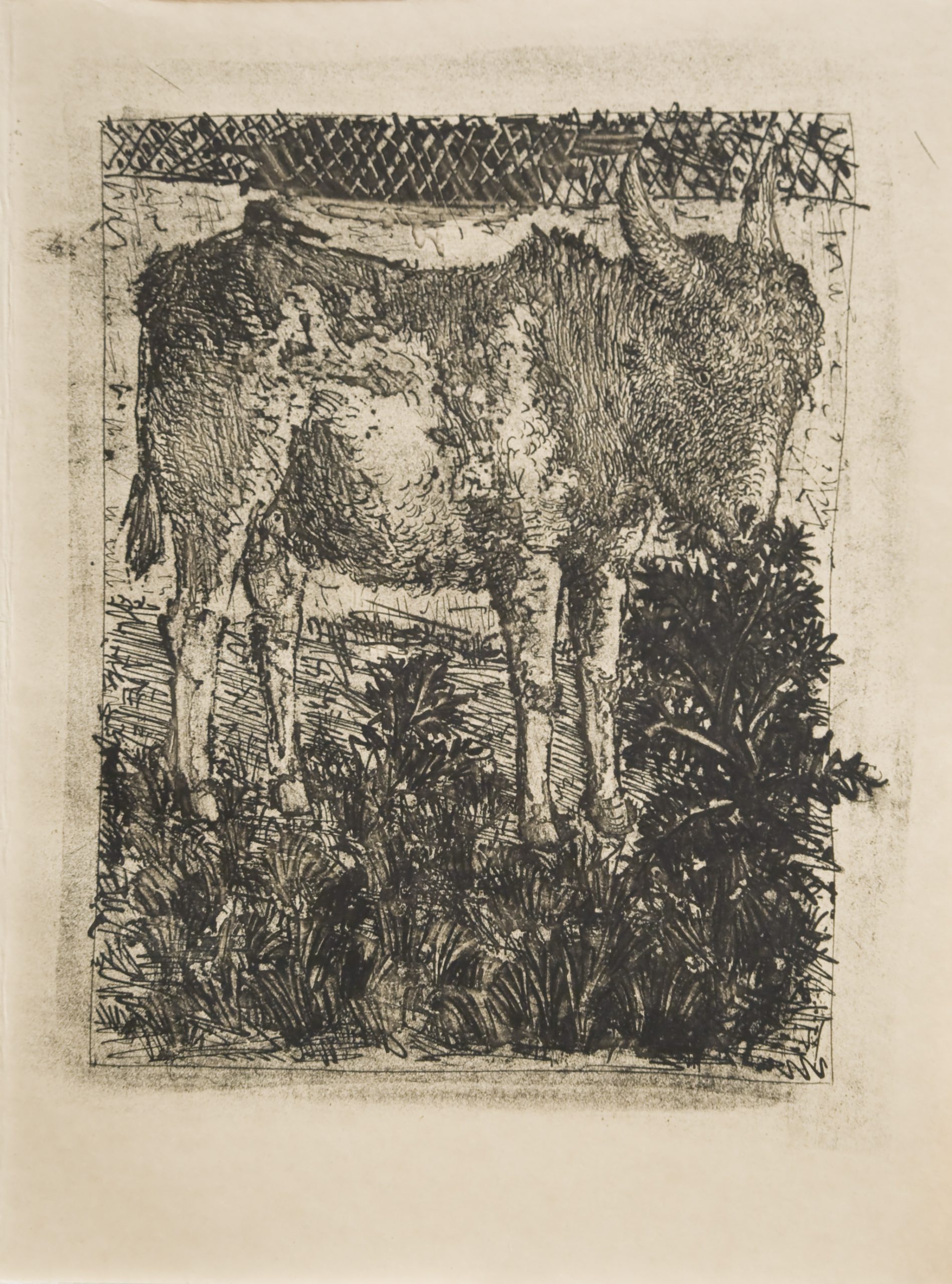 L’ane (the Donkey) by Pablo Picasso