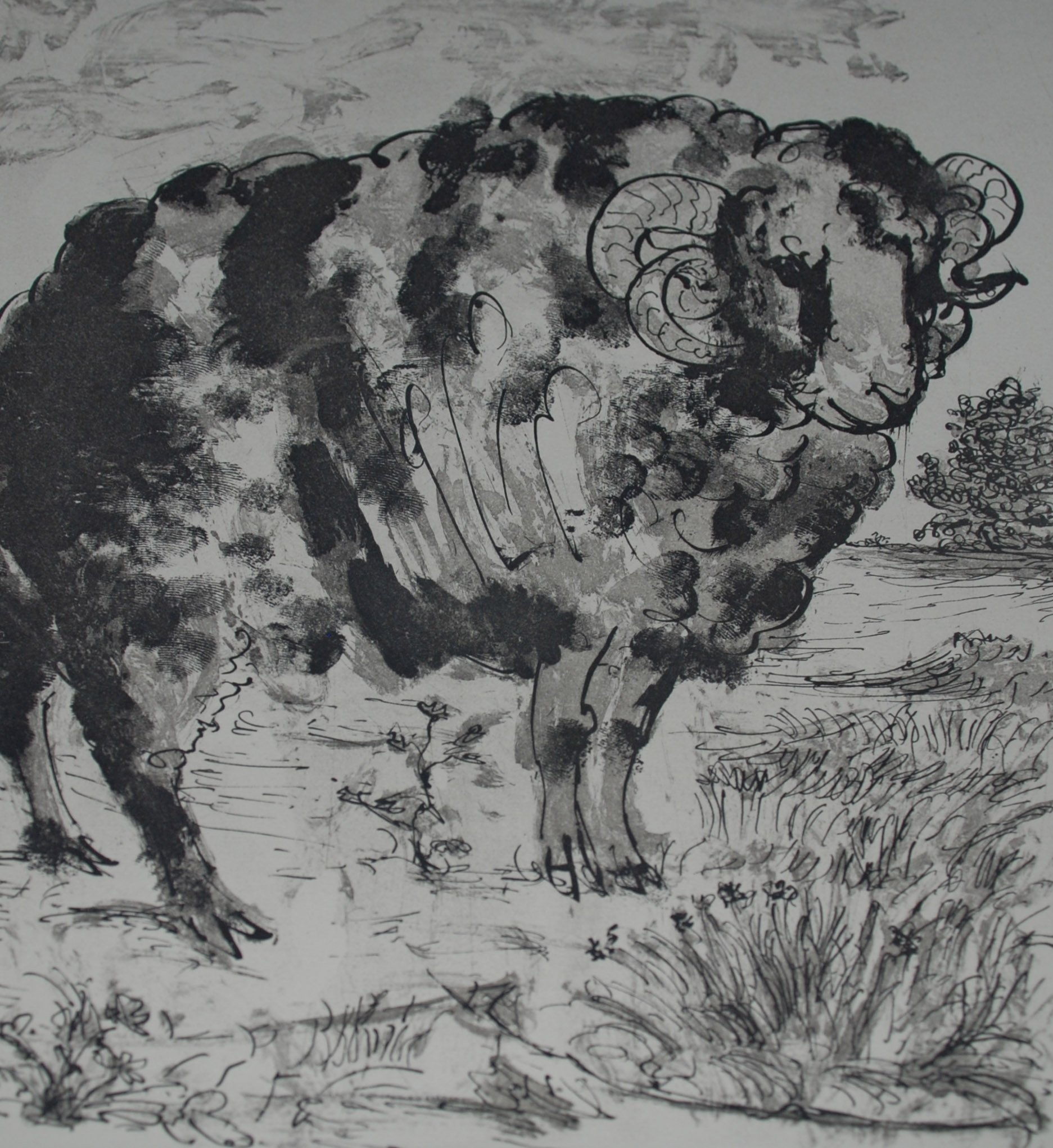 Le Belier (the Ram) by Pablo Picasso