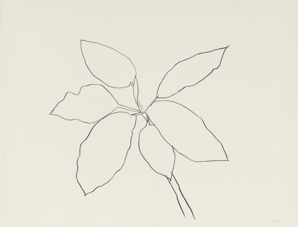 Saint Martin Tropical Plant by Ellsworth Kelly