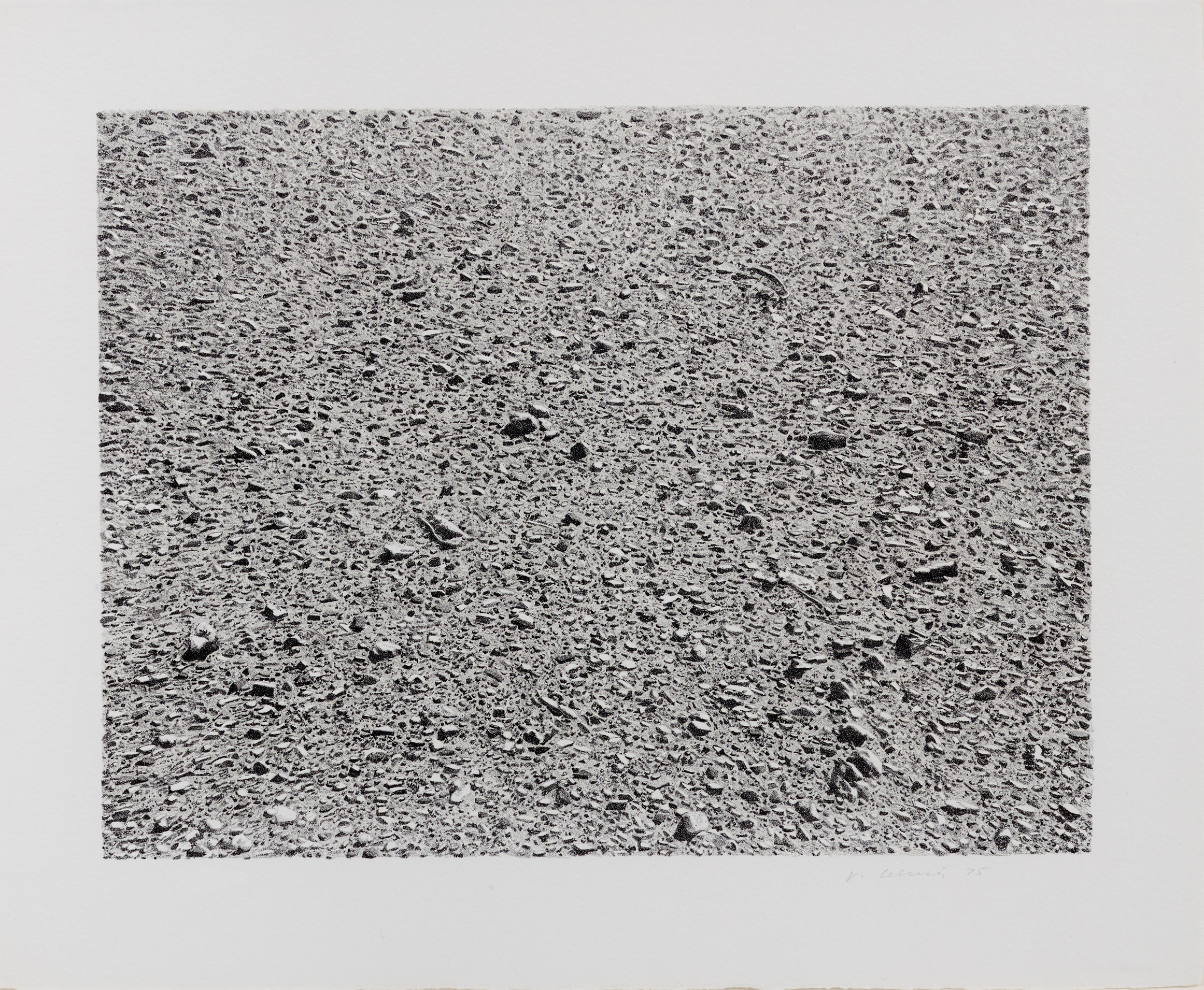 Untitled (Desert) by Vija Celmins