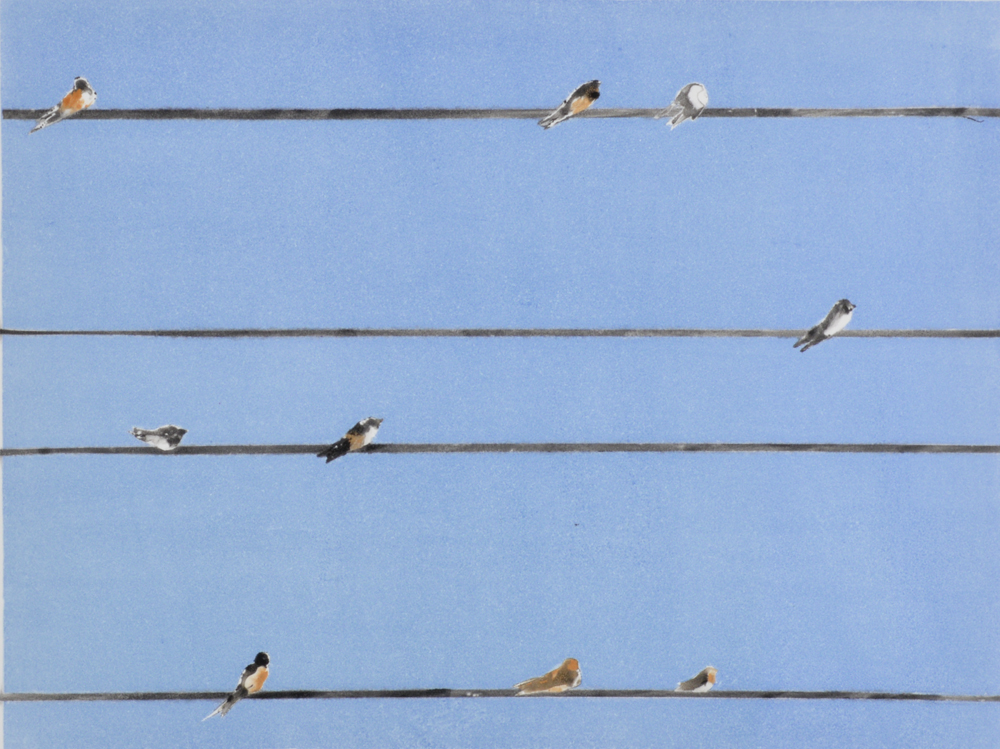 Birds on Wire by Sari Davidson