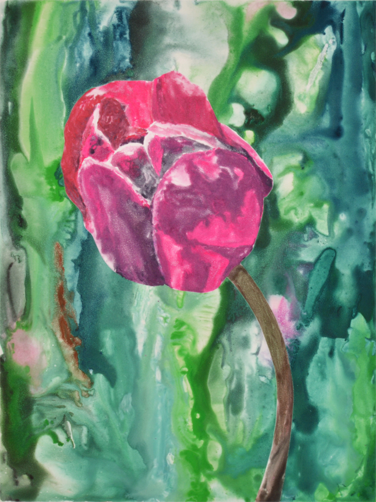 Pink Tulip 3 by Sari Davidson