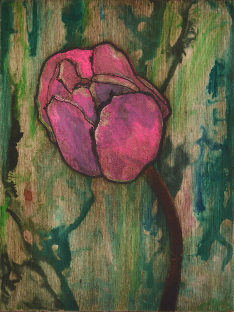 Pink Tulip 4 by Sari Davidson