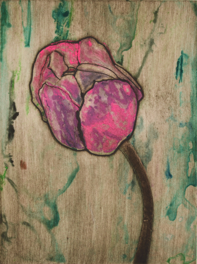 Pink Tulip 6 by Sari Davidson