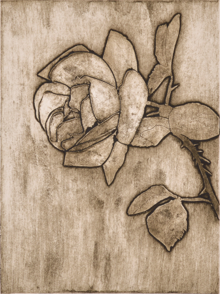 Rose 1 by Sari Davidson