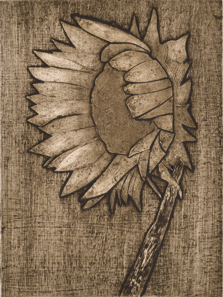 Sunflower 1 by Sari Davidson