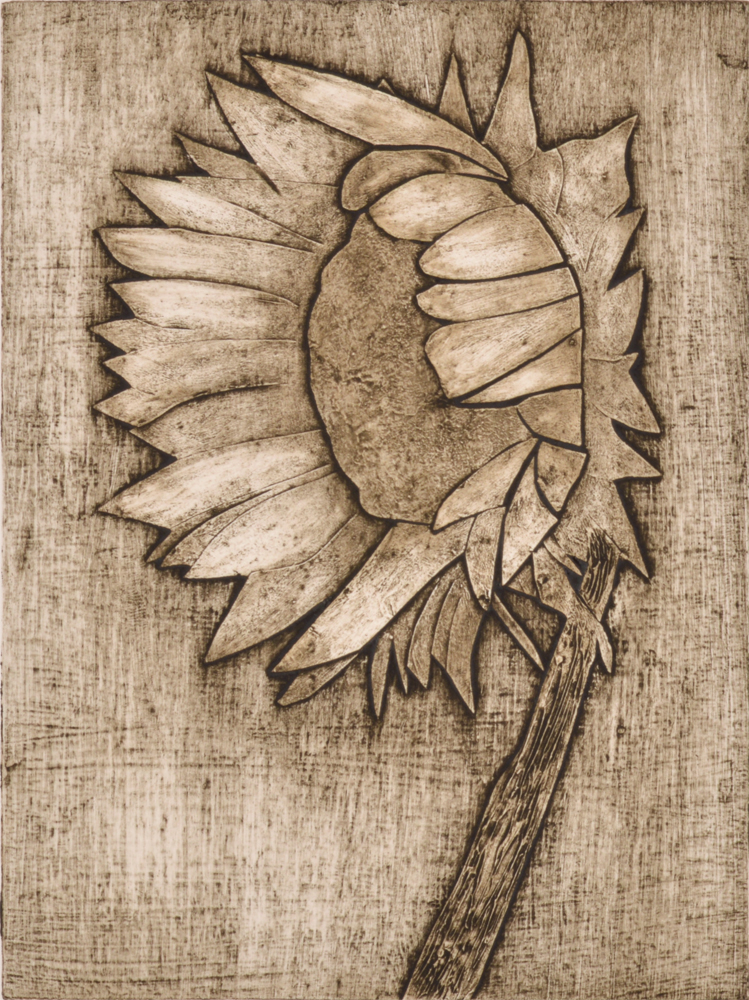 Sunflower 2 by Sari Davidson