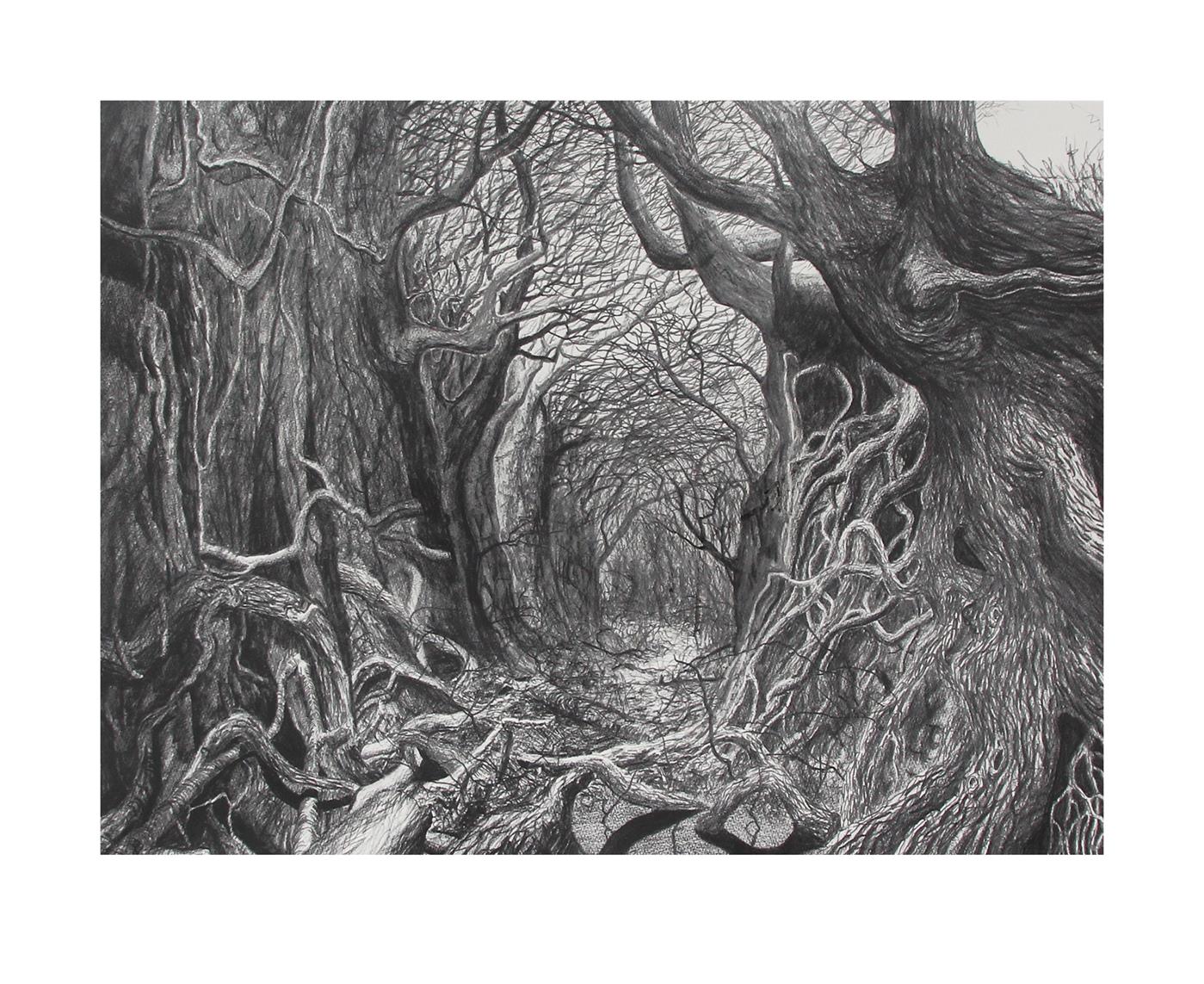 Wraith by Stanley Donwood 4к