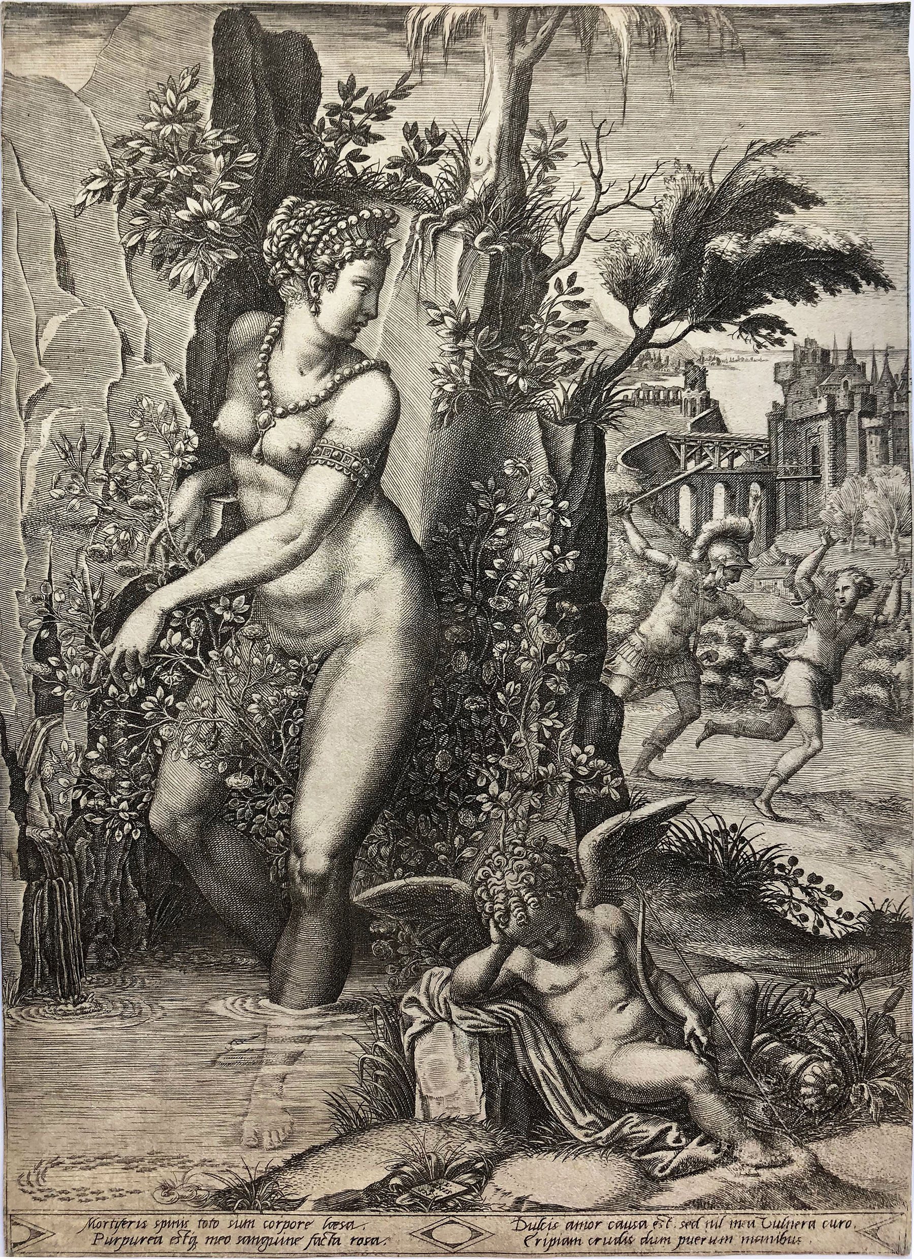 Venus and the Rose (2nd State) by Giorgio Ghisi