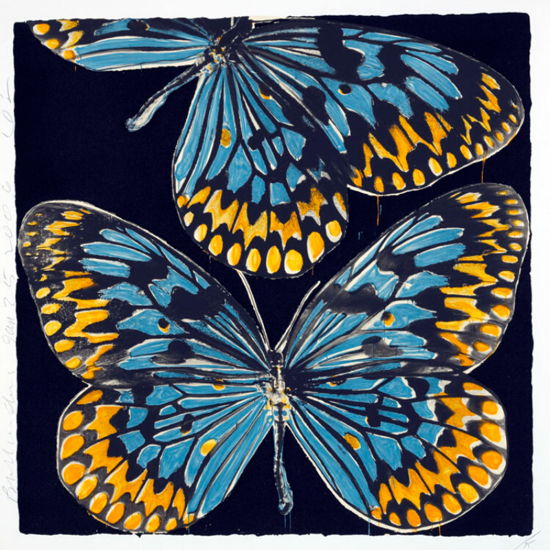 Butterflies by Donald Sultan