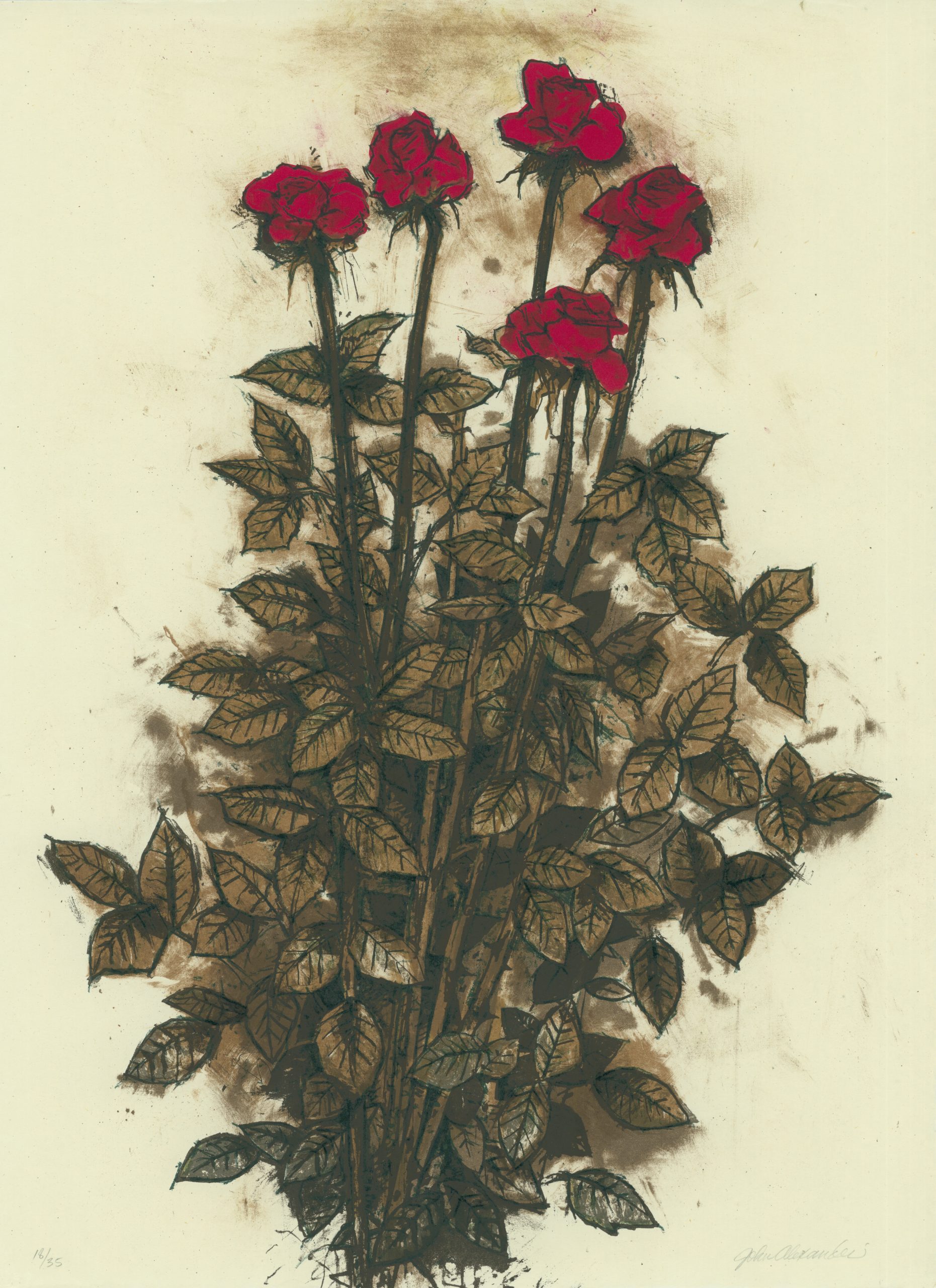 Red Roses by John Alexander