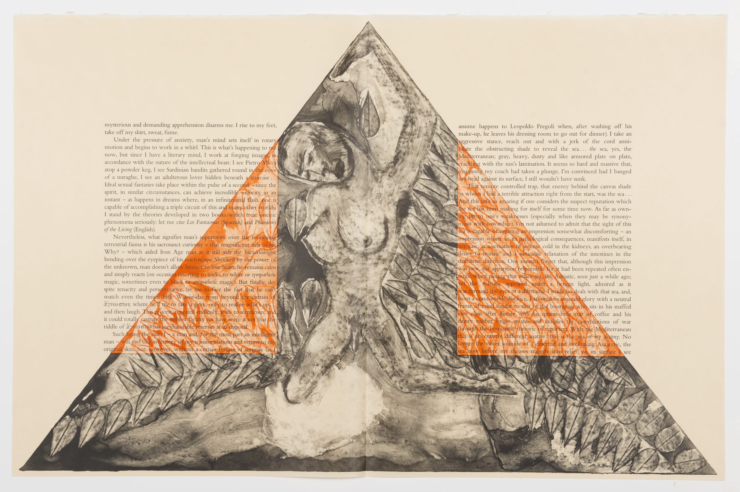 The Departure of the Argonaut portfolio by Francesco Clemente