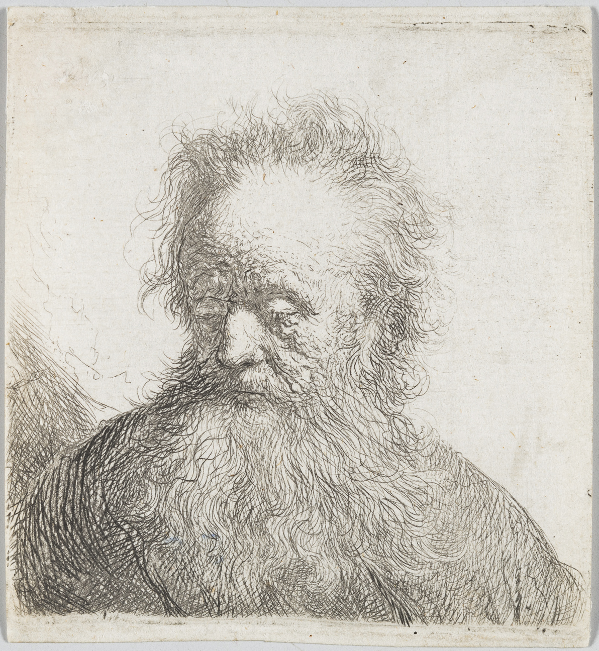 Old Man with a Flowing Beard:  Bust by Harmensz van Rijn Rembrandt