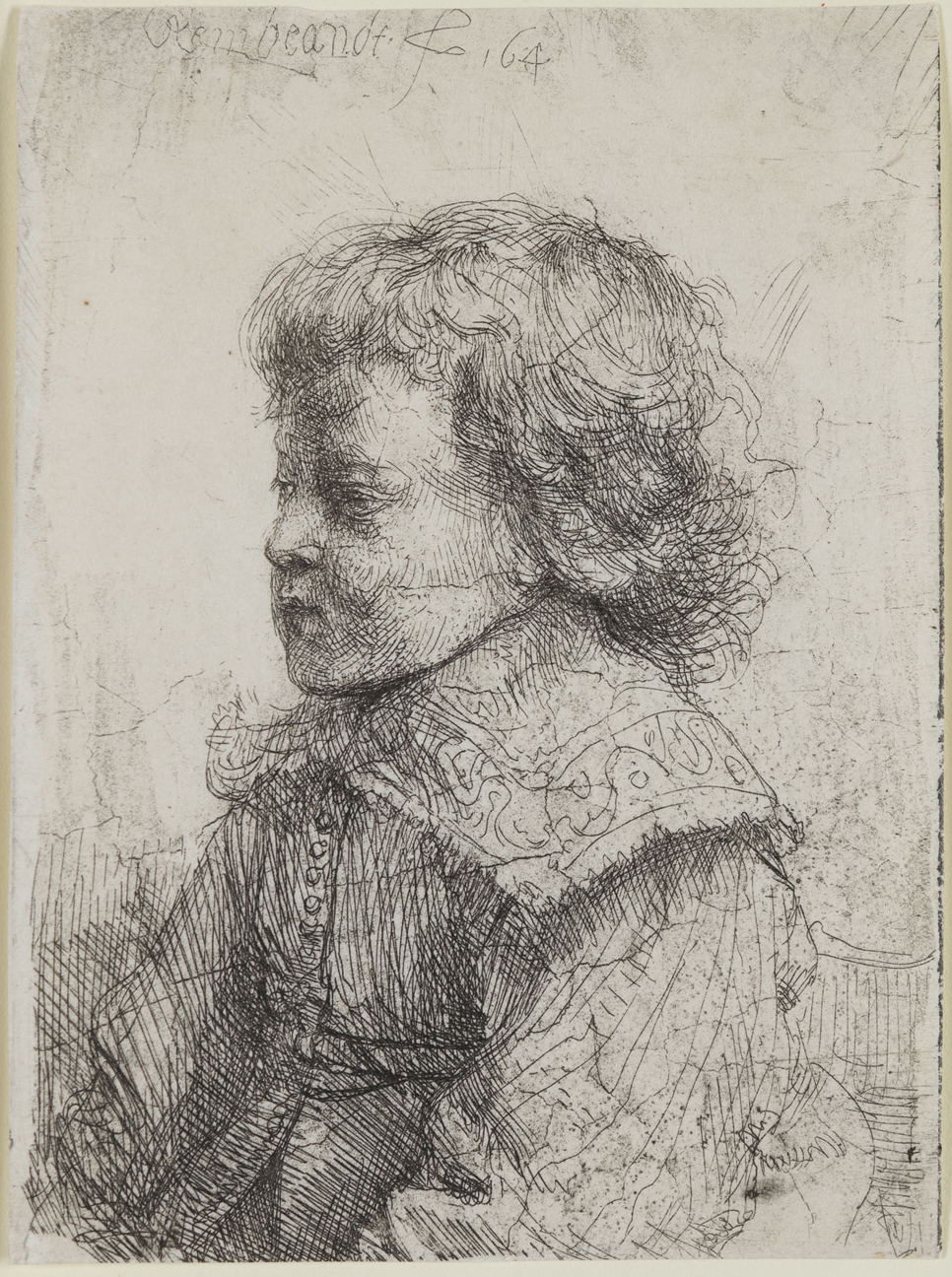 Portrait of a Boy in Profile by Harmensz van Rijn Rembrandt