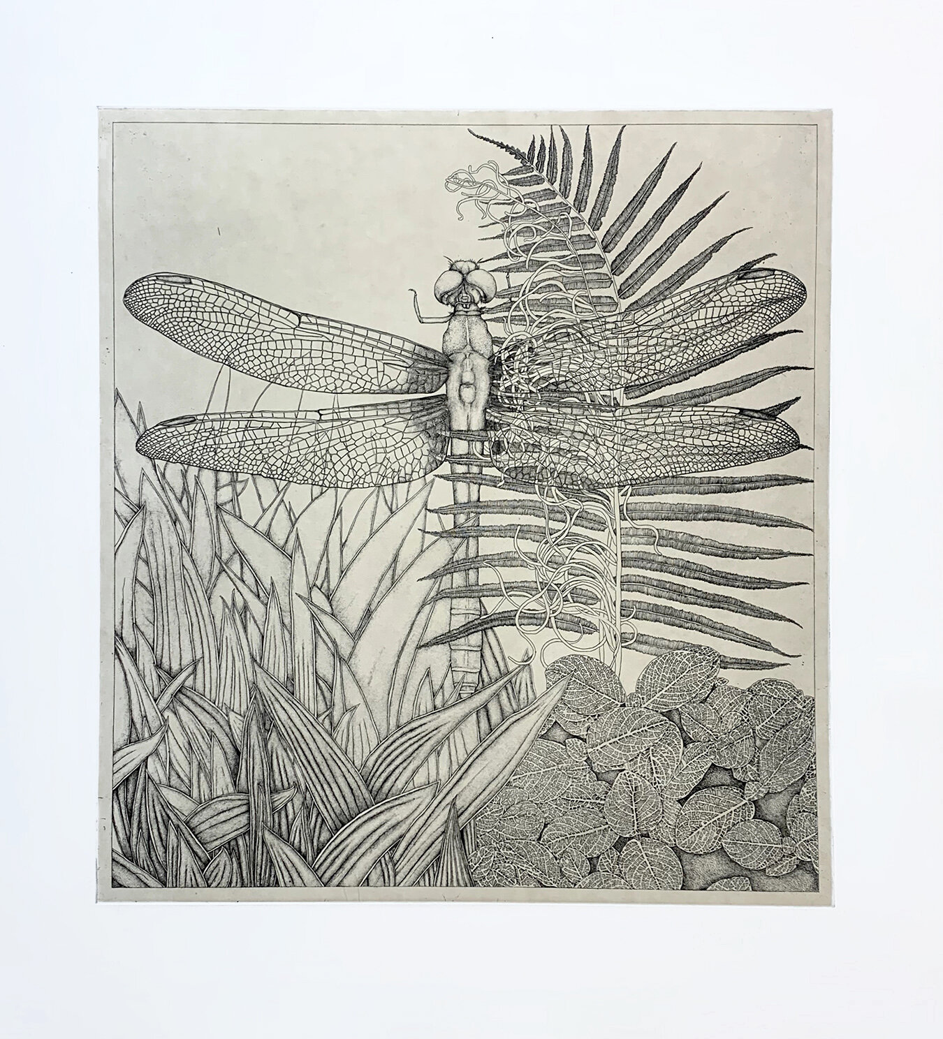 untitled (dragonfly) by George Whitman