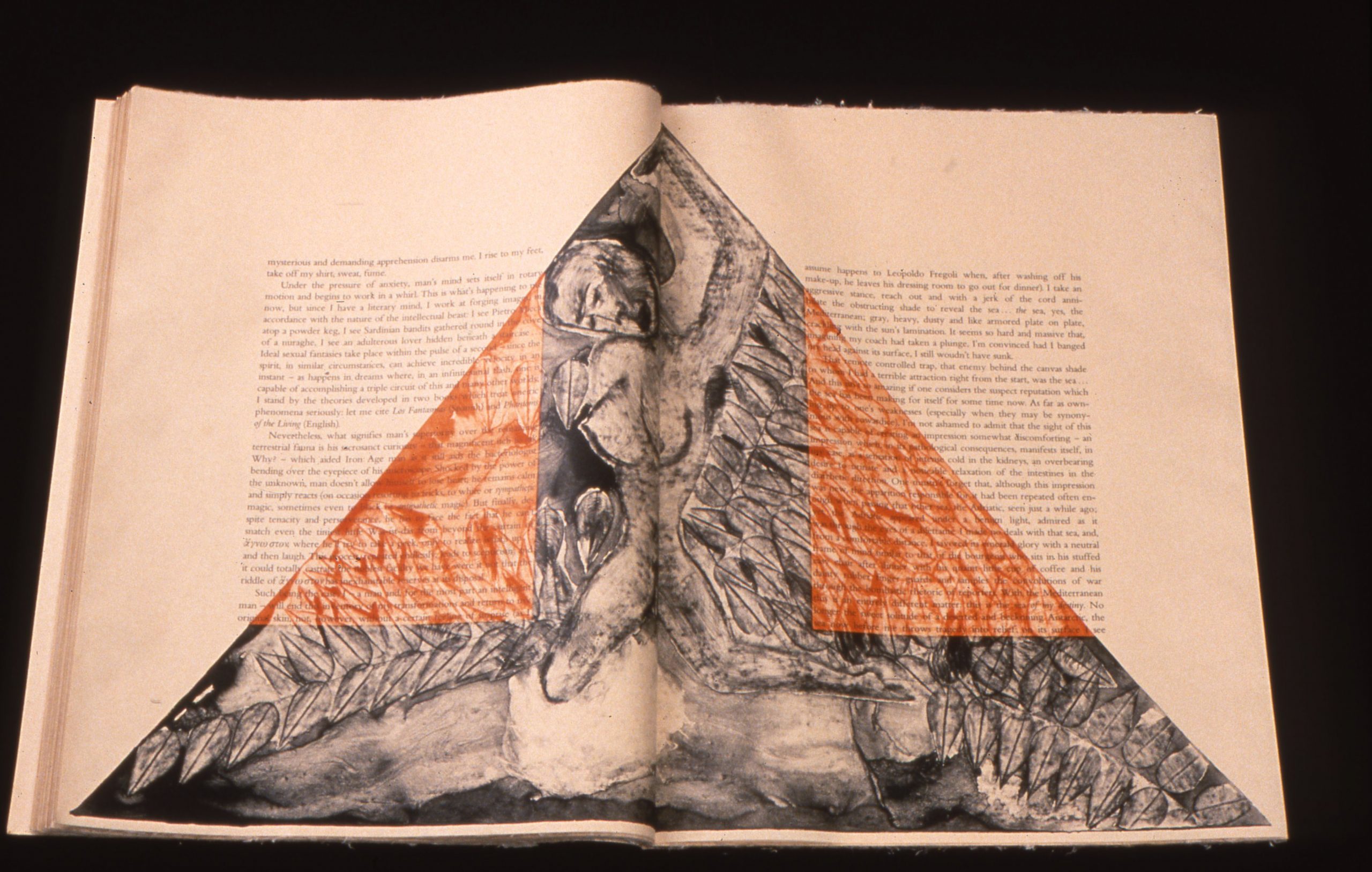 The Departure of the Argonaut book by Francesco Clemente