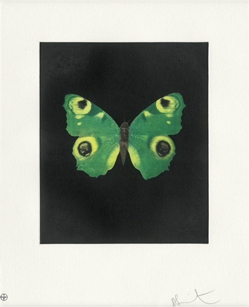 Fate by Damien Hirst