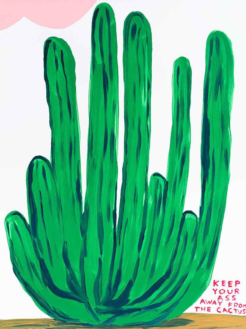 Keep Your Ass Away From the Cactus by David Shrigley