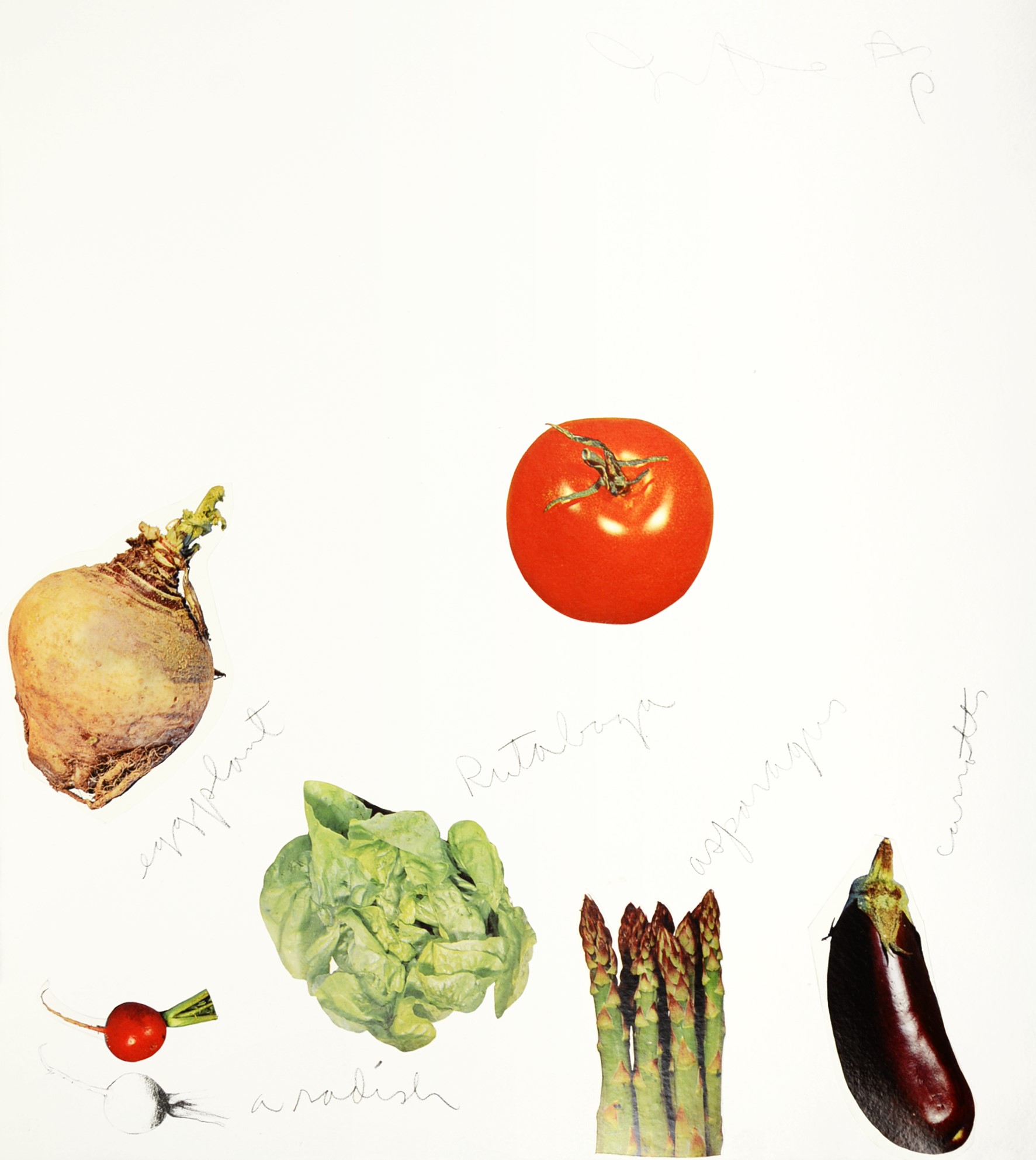 (Untitled) Vegetables by Jim Dine