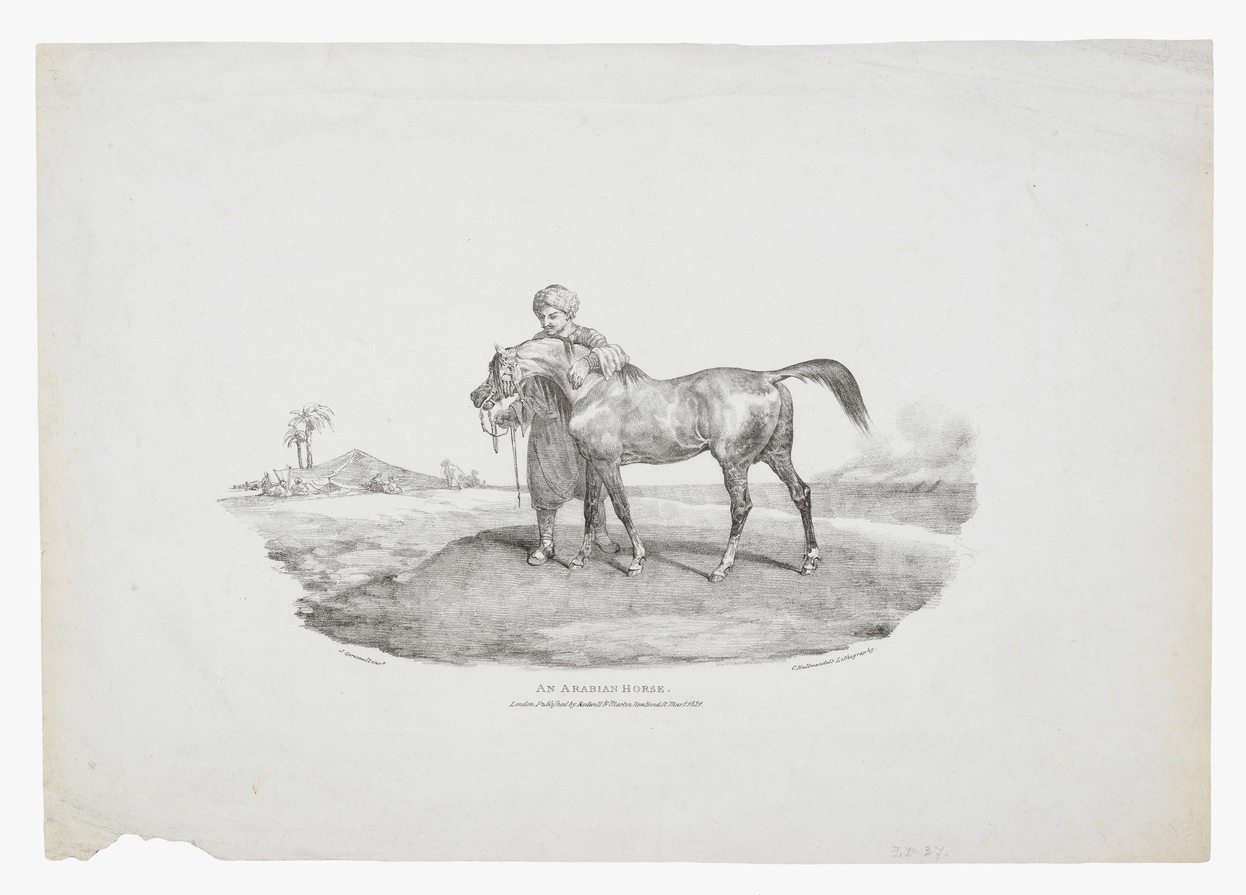 An Arabian Horse by Théodore Géricault